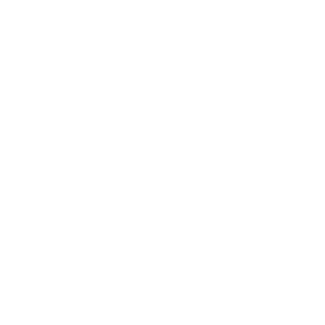 q_1